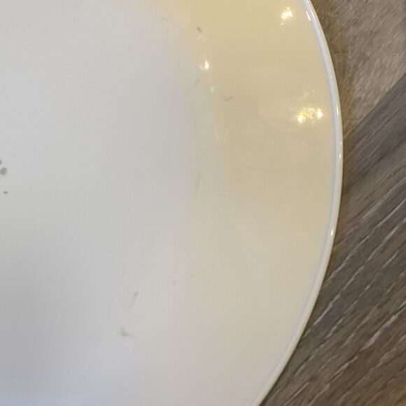 6 Vintage Corelle "Shadow Iris" 10" Dinner Plates Set, USED, White - Picture 7 of 12